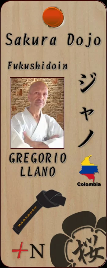 Novedades proyecto +Nanbudo.- Nuevo Cinturón Negro.